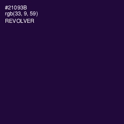 #21093B - Revolver Color Image