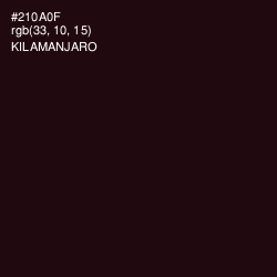 #210A0F - Kilamanjaro Color Image