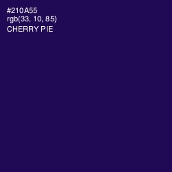 #210A55 - Cherry Pie Color Image