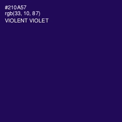 #210A57 - Violent Violet Color Image