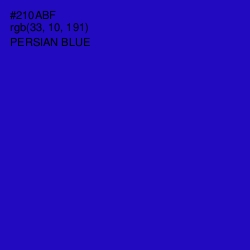 #210ABF - Persian Blue Color Image