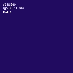 #210B60 - Paua Color Image