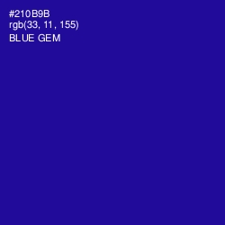 #210B9B - Blue Gem Color Image