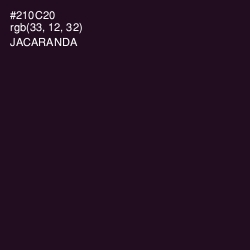 #210C20 - Jacaranda Color Image