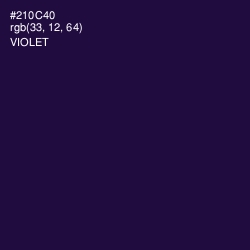 #210C40 - Violet Color Image