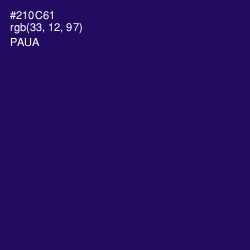 #210C61 - Paua Color Image
