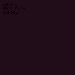 #210D1A - Gondola Color Image