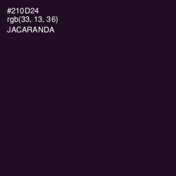 #210D24 - Jacaranda Color Image