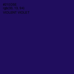 #210D5E - Violent Violet Color Image