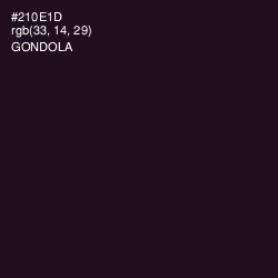 #210E1D - Gondola Color Image