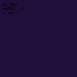 #210E3A - Revolver Color Image