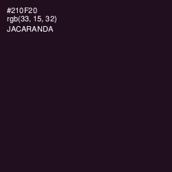 #210F20 - Jacaranda Color Image