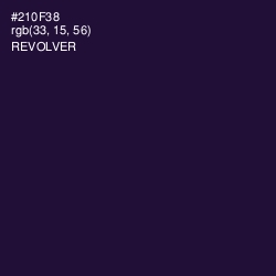 #210F38 - Revolver Color Image
