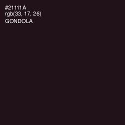 #21111A - Gondola Color Image
