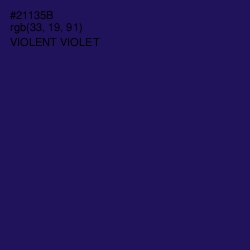 #21135B - Violent Violet Color Image