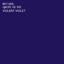 #21145A - Violent Violet Color Image