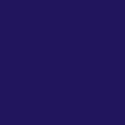 #21165D - Violent Violet Color Image