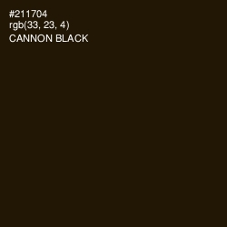 #211704 - Cannon Black Color Image