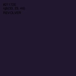 #21172E - Revolver Color Image