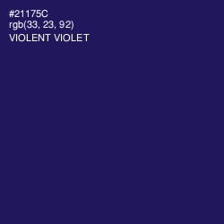 #21175C - Violent Violet Color Image