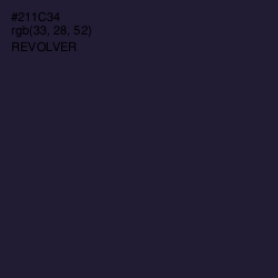 #211C34 - Revolver Color Image