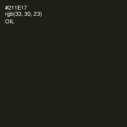#211E17 - Oil Color Image