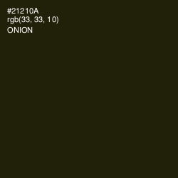 #21210A - Onion Color Image