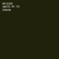 #21220C - Onion Color Image