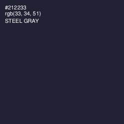 #212233 - Steel Gray Color Image