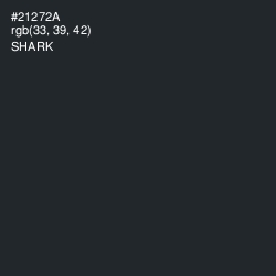 #21272A - Shark Color Image
