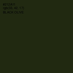 #212A11 - Black Olive Color Image