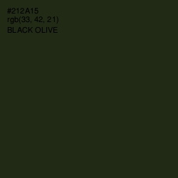 #212A15 - Black Olive Color Image