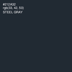 #212A32 - Steel Gray Color Image