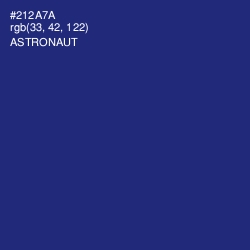 #212A7A - Astronaut Color Image