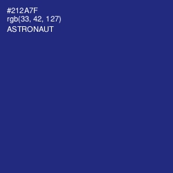 #212A7F - Astronaut Color Image