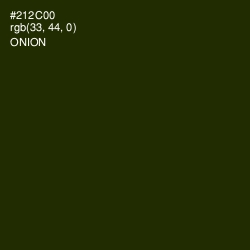 #212C00 - Onion Color Image