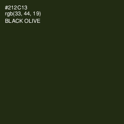 #212C13 - Black Olive Color Image
