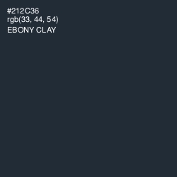 #212C36 - Ebony Clay Color Image