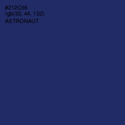 #212C66 - Astronaut Color Image