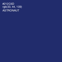 #212C6D - Astronaut Color Image