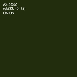 #212D0C - Onion Color Image