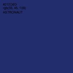 #212D6D - Astronaut Color Image