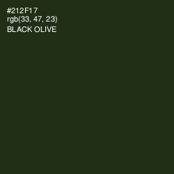 #212F17 - Black Olive Color Image