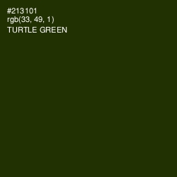 #213101 - Turtle Green Color Image