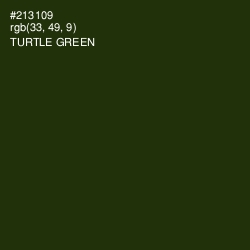 #213109 - Turtle Green Color Image