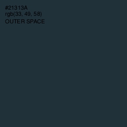 #21313A - Outer Space Color Image