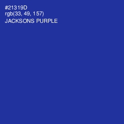 #21319D - Jacksons Purple Color Image