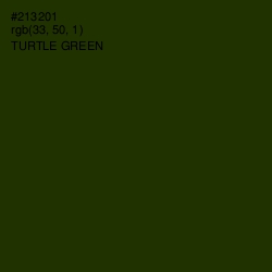 #213201 - Turtle Green Color Image