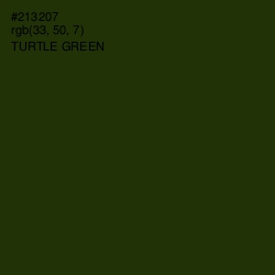 #213207 - Turtle Green Color Image