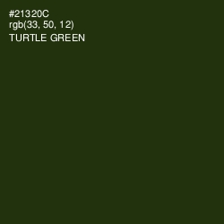 #21320C - Turtle Green Color Image